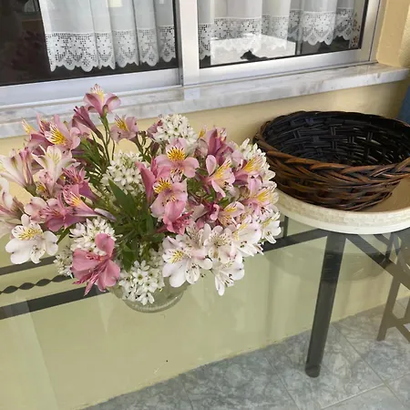 Quinta Ti Lita * Tocha