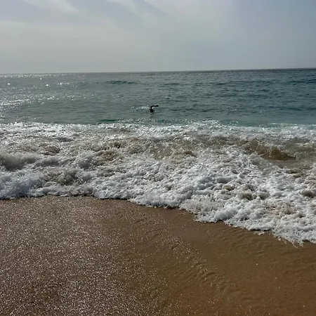 Ferienhaus Quinta Ti Lita Tocha