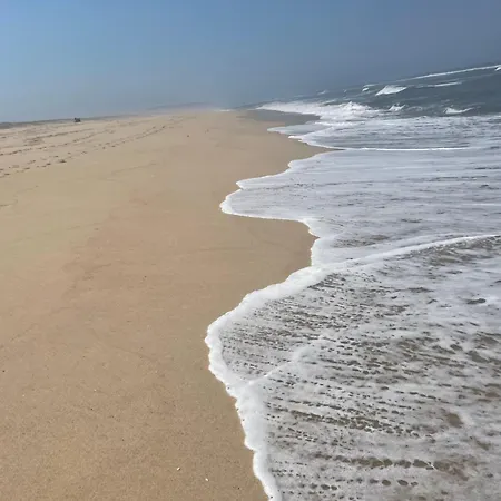 Quinta Ti Lita * Tocha