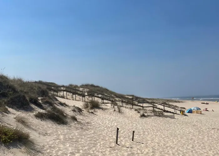 Дом отдыха Quinta Ti Lita