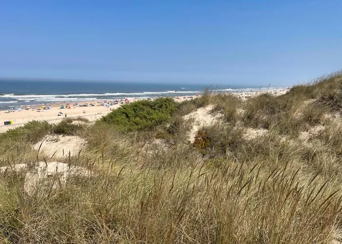 Дом отдыха Quinta Ti Lita *