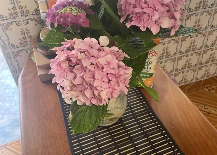 Quinta Ti Lita Тоша