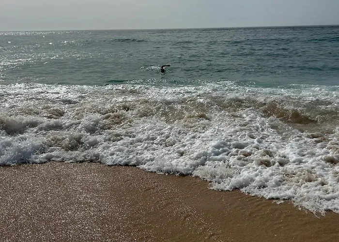 Дом отдыха Quinta Ti Lita Тоша