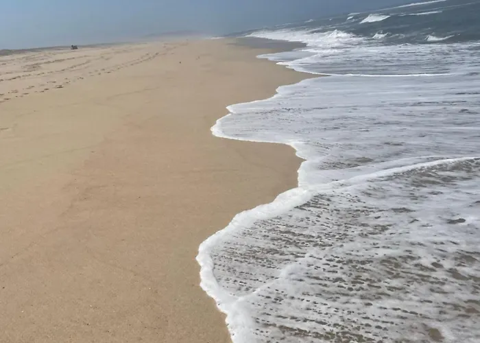 Quinta Ti Lita * Тоша